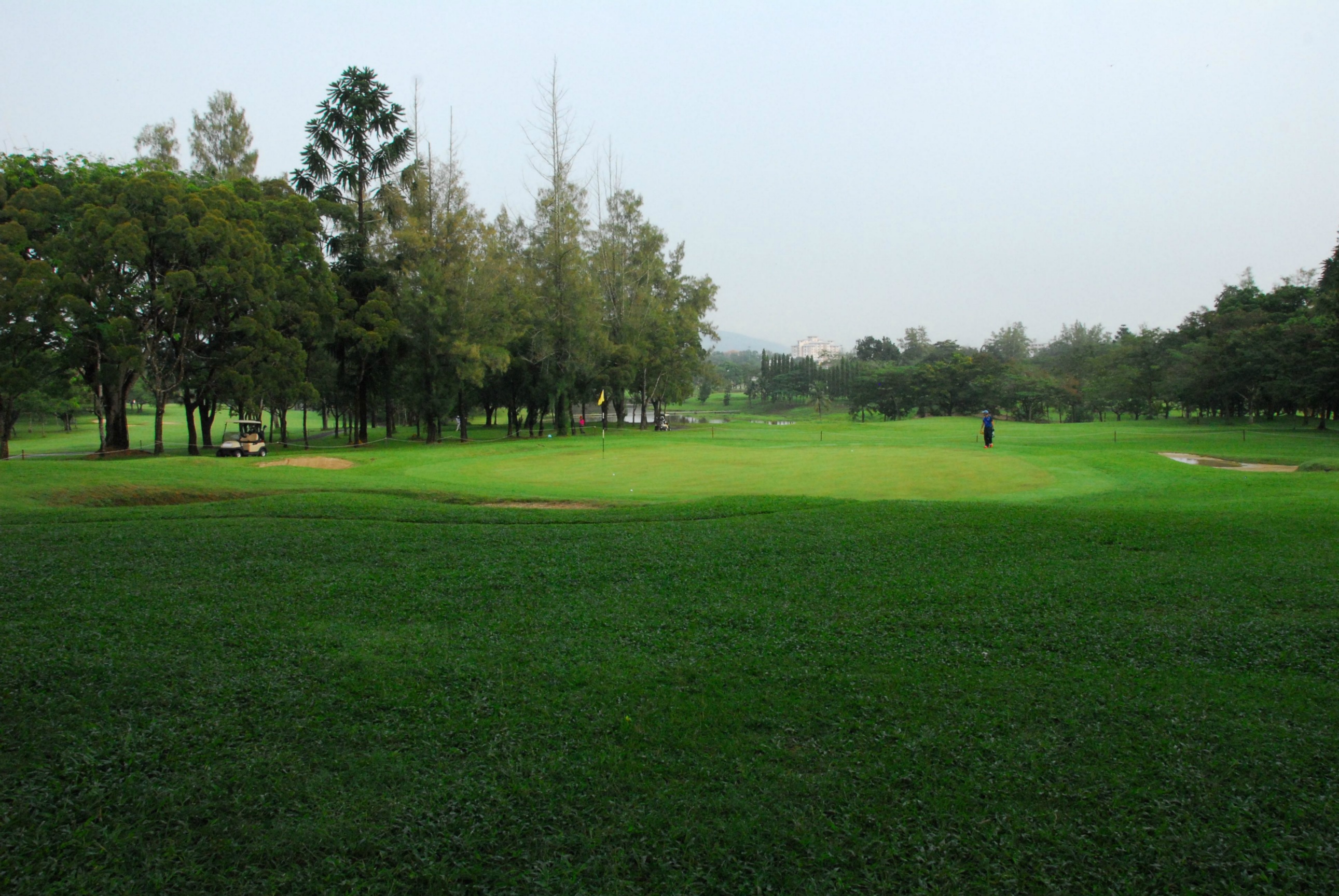 PRO15 157 GOLF DSC 0243.JPG